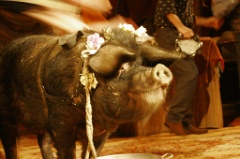 parfum d est 215 * 3504 x 2336 * (4.63MB)